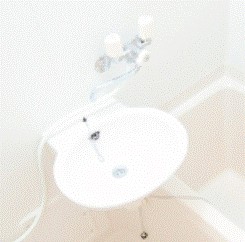 レオパレス雄新ひまわり その他14