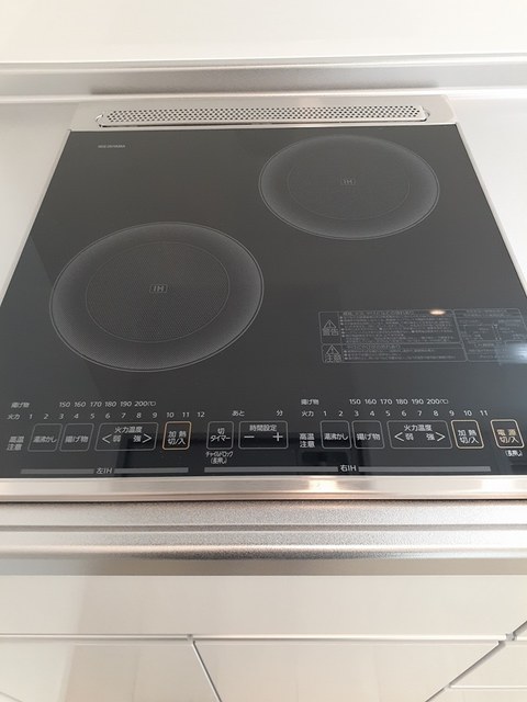 プラシードカーサⅡ その他2