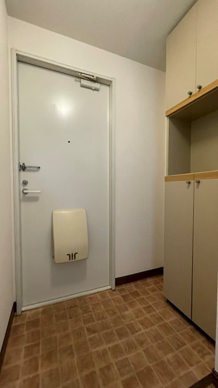 メゾンラフォーレⅡ　  玄関