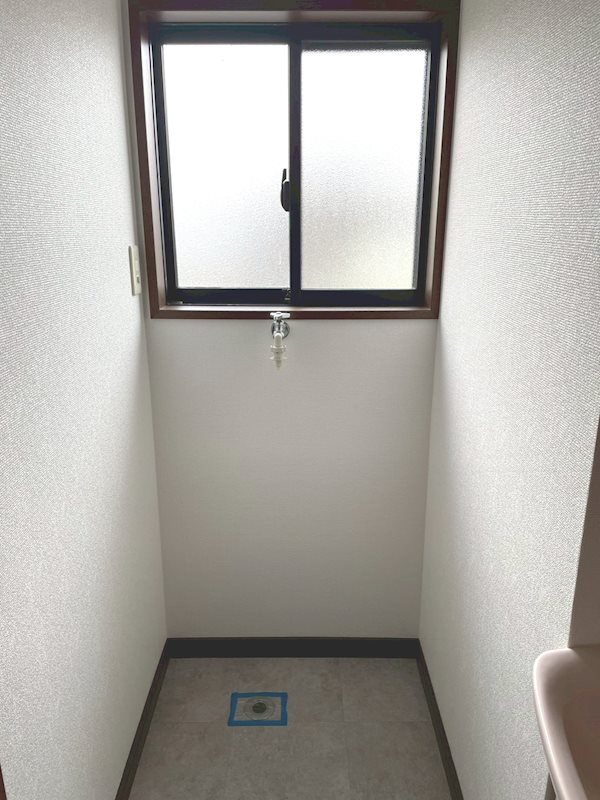 コスモス その他6