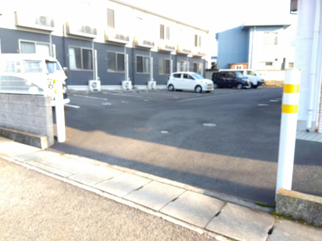 レオネクストシャムロック その他12