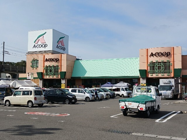 Ｋｌａｒ　ＴＹ　Ⅵ その他外観1