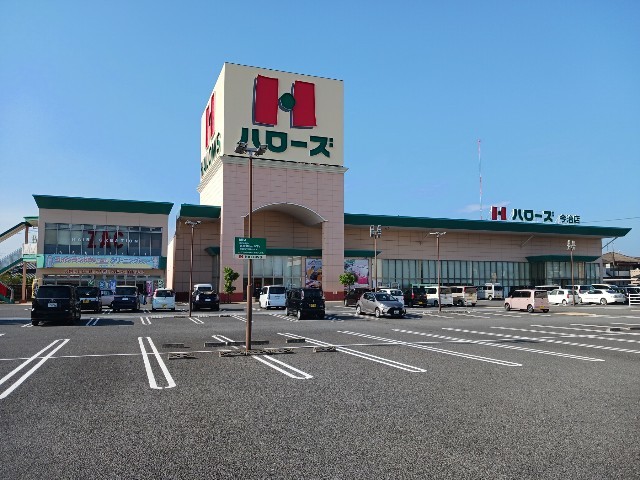 アリエッタ その他外観5