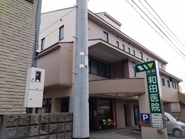 アグライア　Ⅰ その他外観6