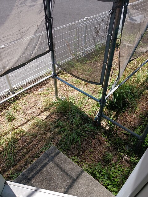 パールハイツＣ その他6
