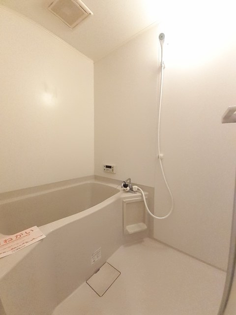 サウスヴィレッジ関谷 風呂画像
