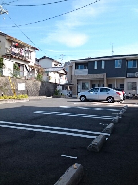 ルピナスⅤ その他7