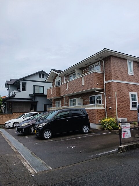 シトラスイン その他5