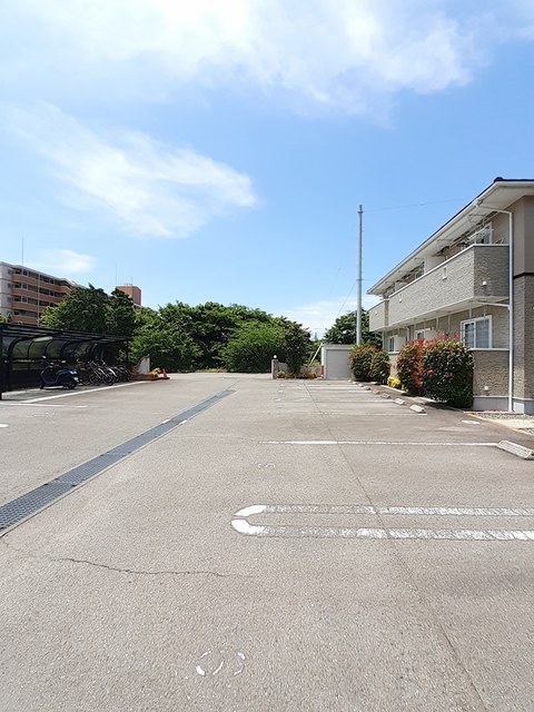 野埜花　Ｂ その他6