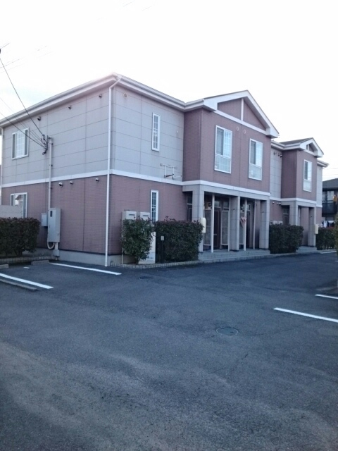 グリーンリーフ その他5