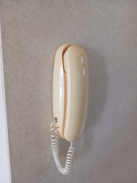 グリーンリーフ その他6