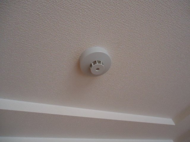 ブライトン その他15