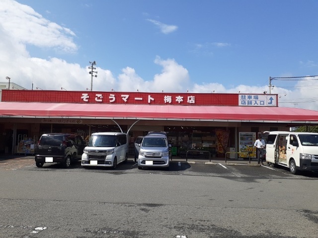 ニューカーサ・ＳⅡ　Ｂ その他外観1