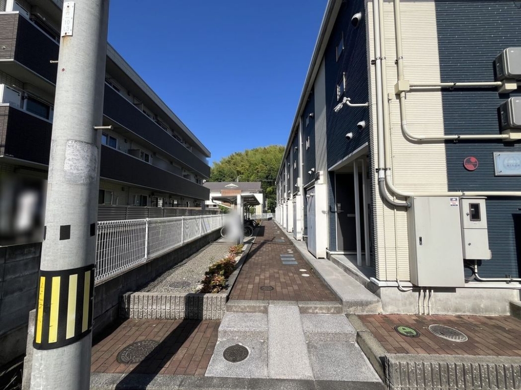レオネクストさくらんぼ その他11