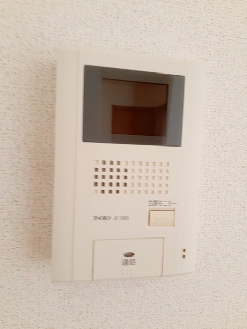 グレーステンダー その他6