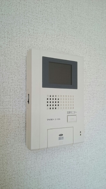 プラシード・Ｍ その他6