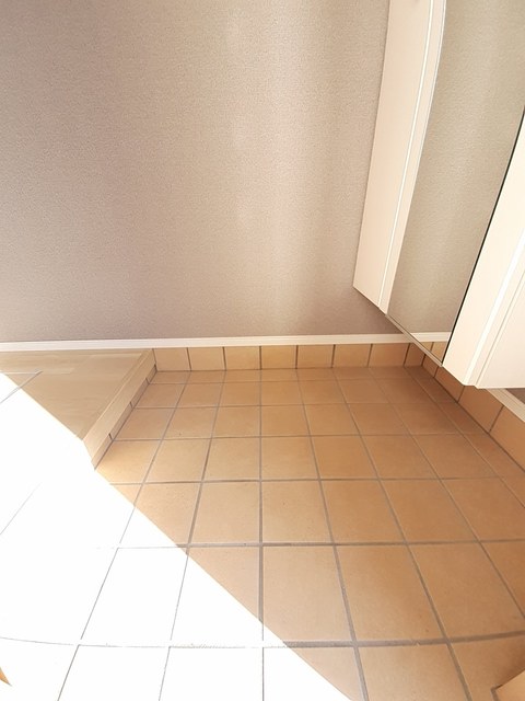 アメニティカーサ　Ⅱ 玄関