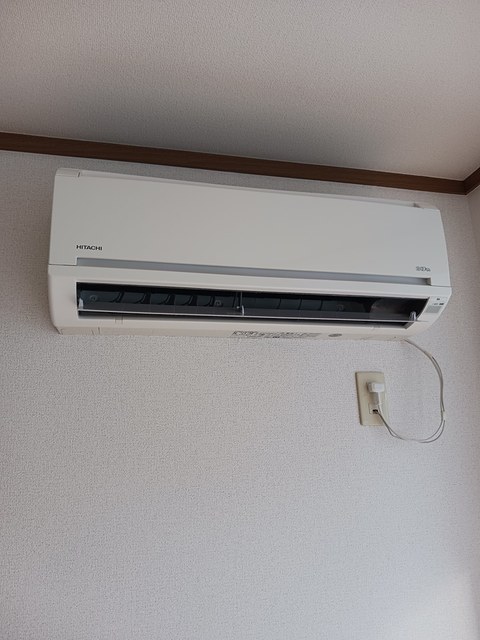 グリーングラス その他1