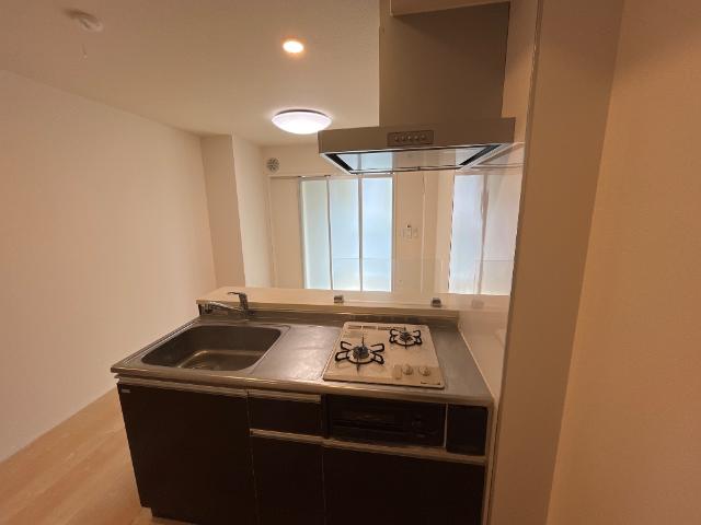 ルミナス立花 その他8