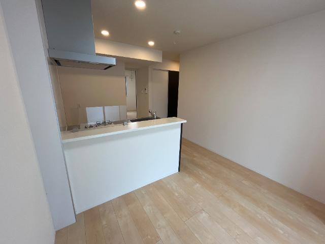 ルミナス立花 その他10