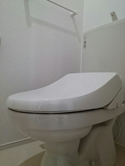 プラシード・ベル その他2