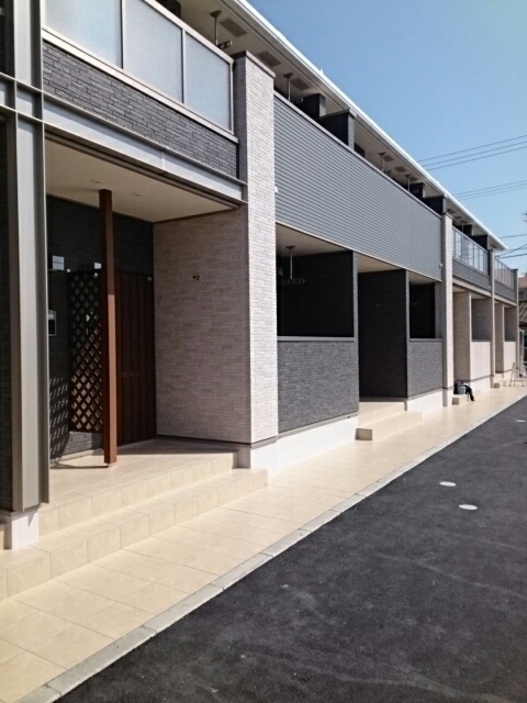 プラシード・ベル その他6