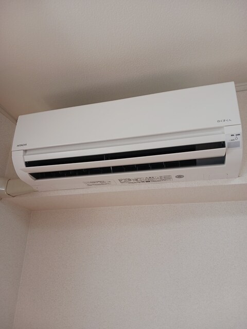 マーガレット その他1