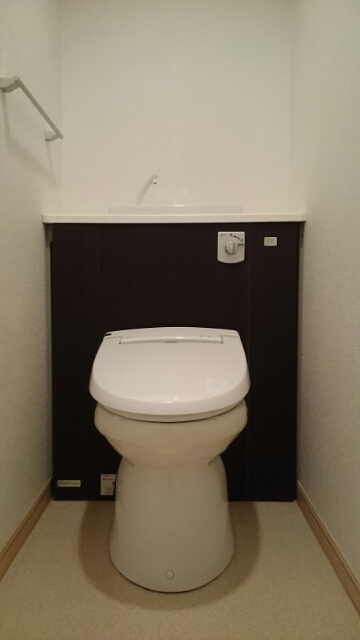 トーラス その他3