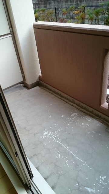 トーラス ベランダ