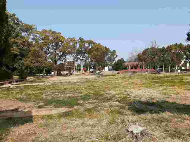 サンリット峰 その他外観5