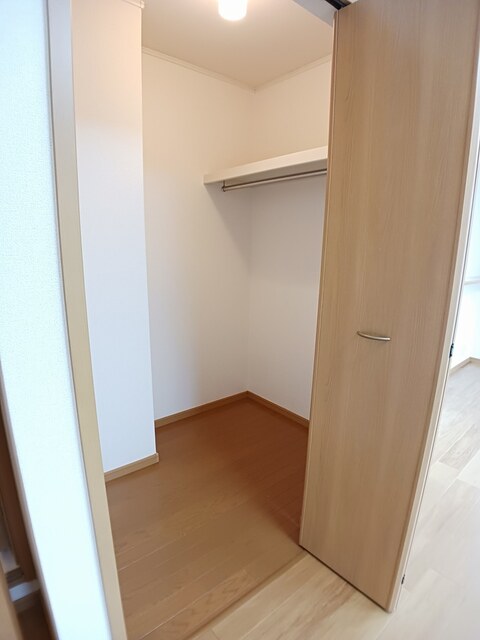 ヴィオラ その他3