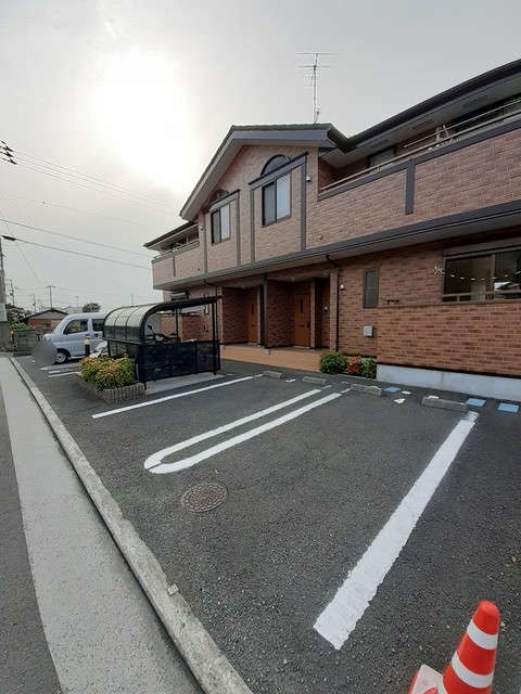 ヴィオラ その他4