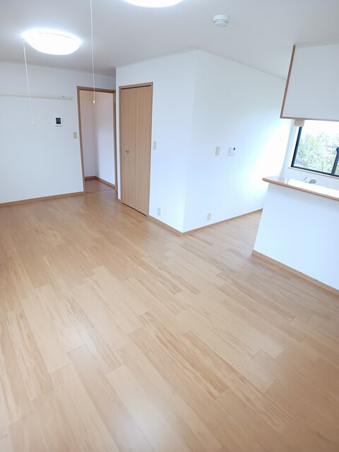 ヴィオラ その他7