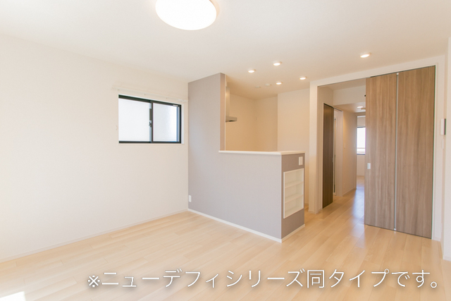 ファレノプシスⅠ その他1