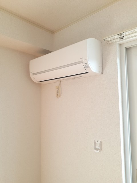 メアリー・ローズ　Ⅲ その他1