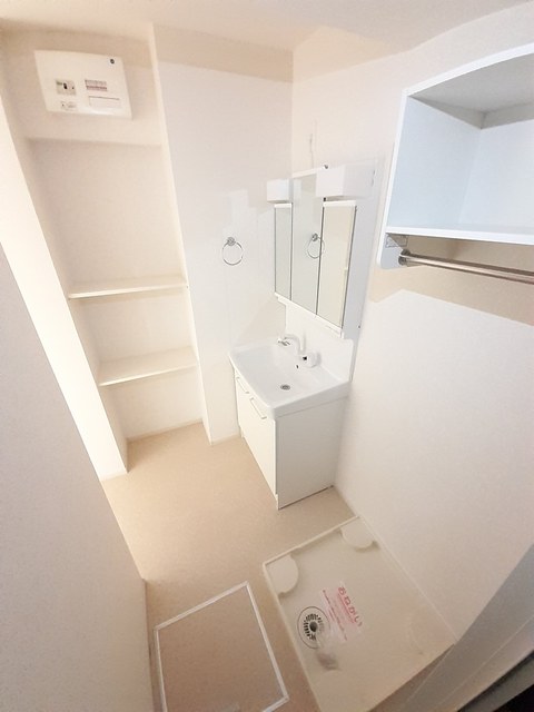 シュウ・レミングＥ その他2