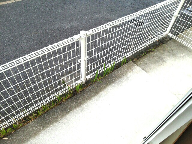 メゾン光峰Ａ棟 ベランダ