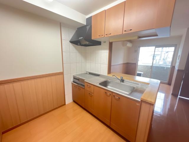 ルミナスひばりヶ丘 キッチン