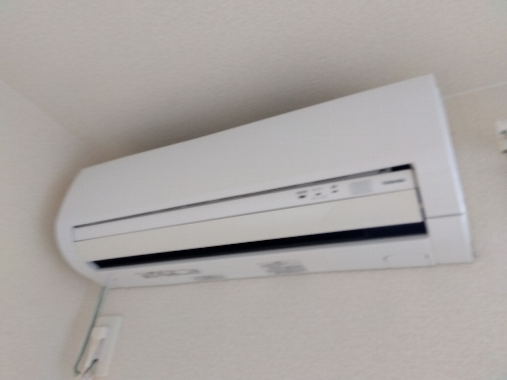 レオネクストシャムロック その他3