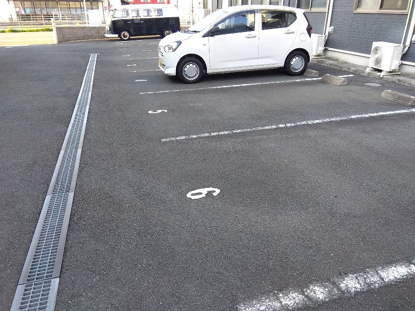 レオネクストシャムロック その他10