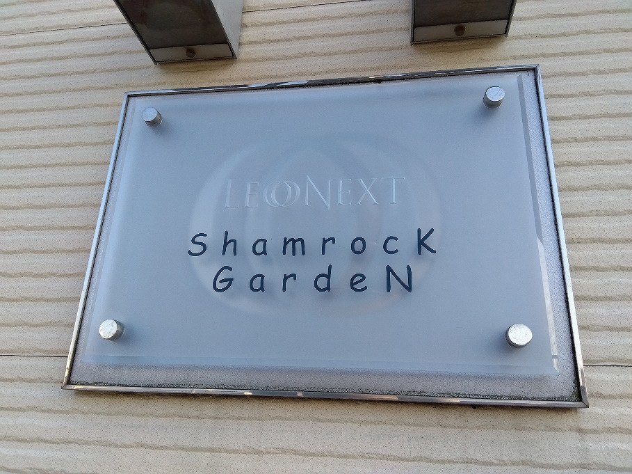 レオネクストシャムロック その他11