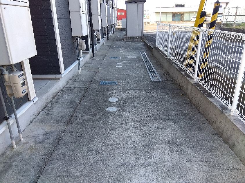 レオネクストシャムロック その他13