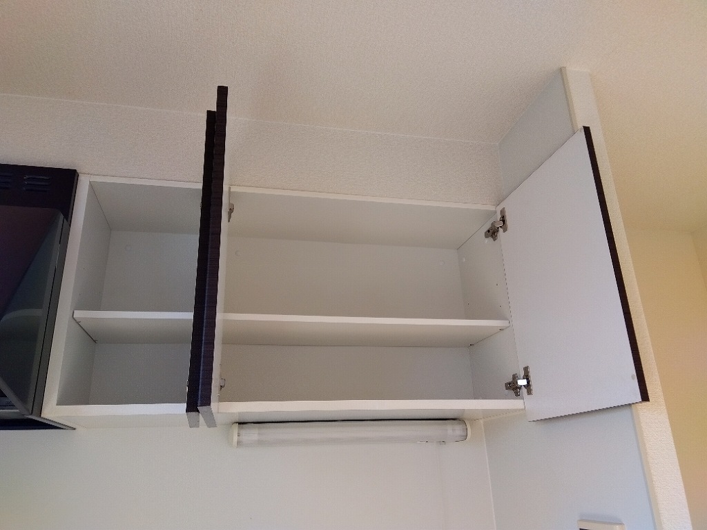 レオネクストシャムロック その他15