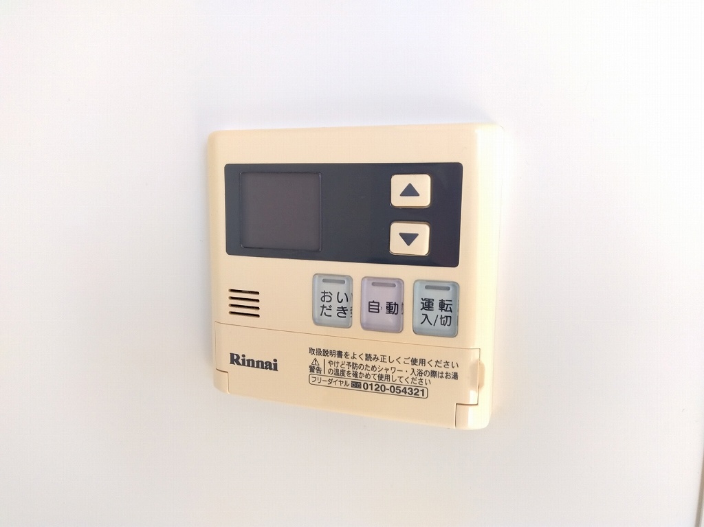 レオネクストシャムロック その他17