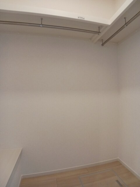 アルストロメリア その他2