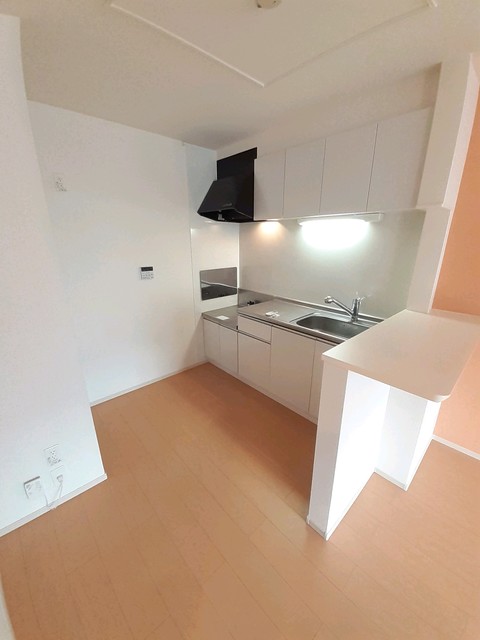 サン　パルムⅡ キッチン