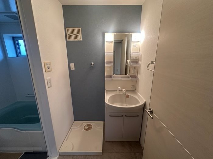 ヴェルドミール その他1