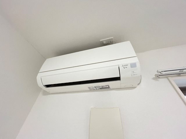 ヴェルジュ　ウマ その他5