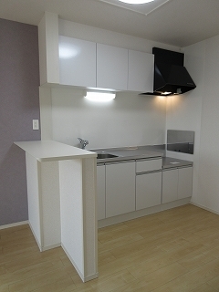 アルコ　イーリス　Ⅴ キッチン