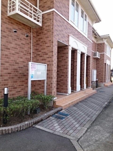 メアリー・ローズ　Ⅳ その他5